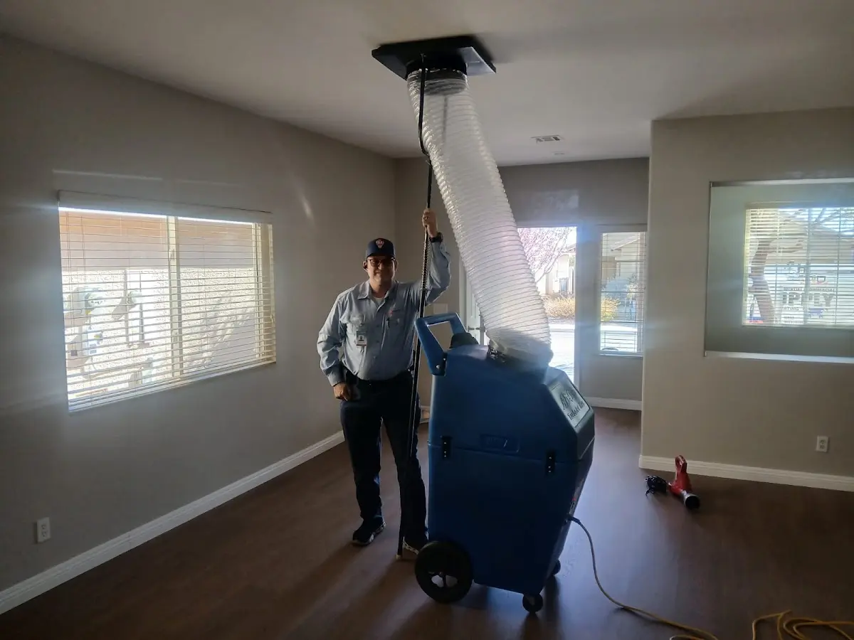 Professional Dryer Vent Cleaning work inside a Venersborg home